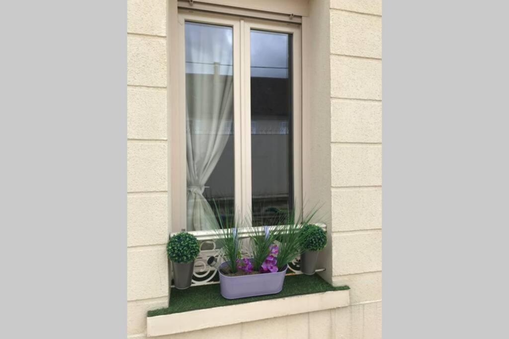 Apartment Pop Design *